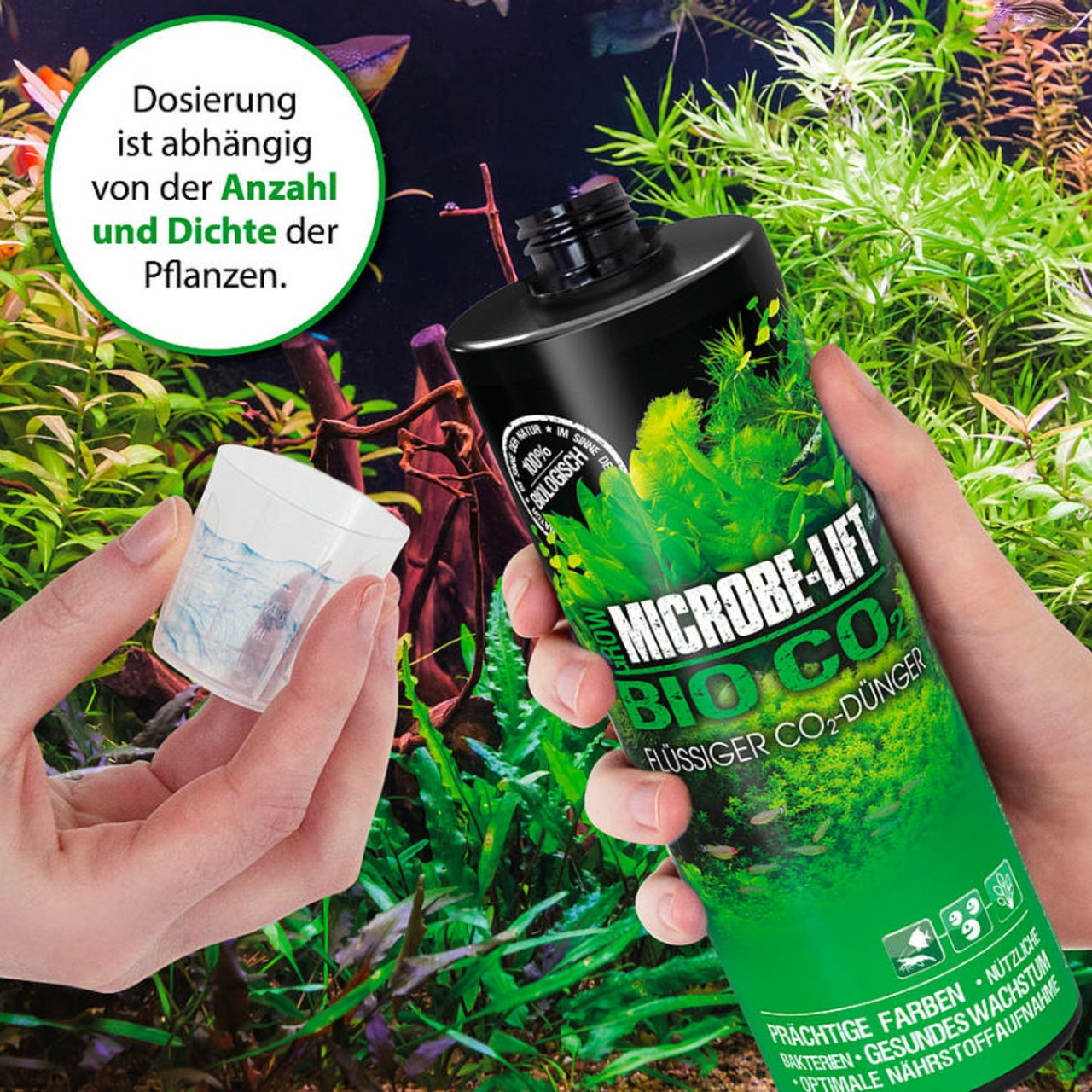 Arka Bio - CO2