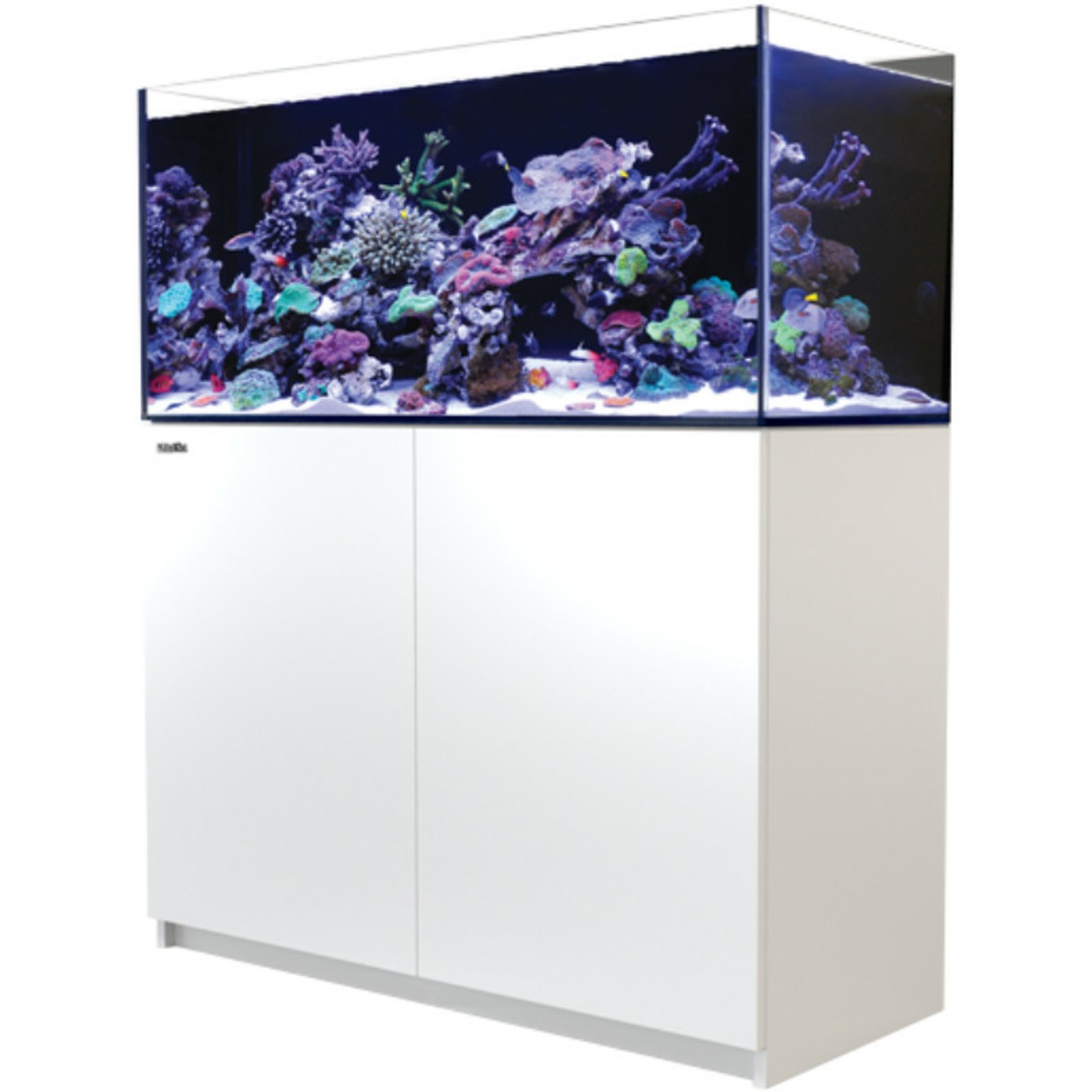 Red Sea Reefer 425 G3 blanc