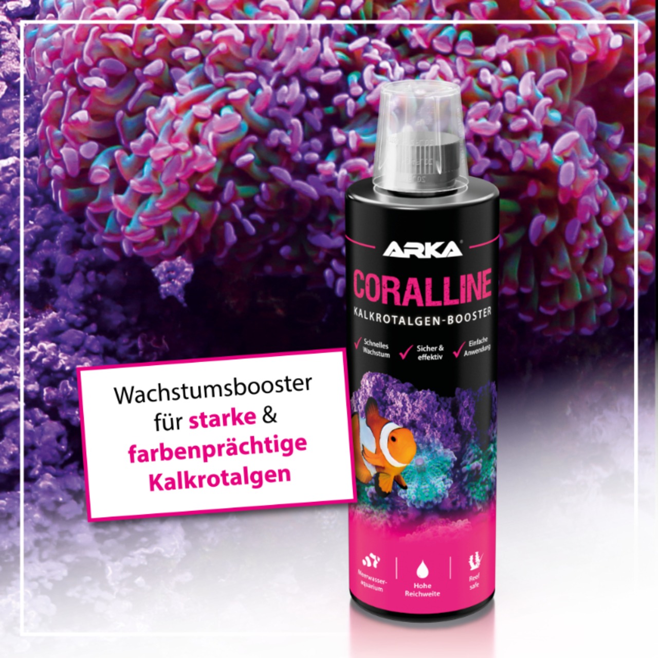 Arka Coralline algues rouges calcaires + 473 ml