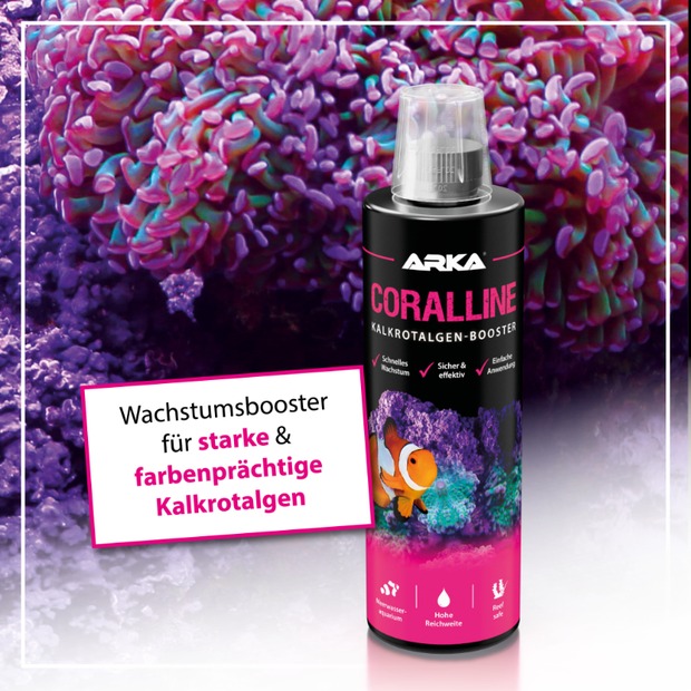 Arka Coralline algues rouges calcaires + 473 ml
