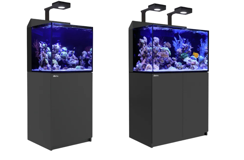 Les syst&egrave;mes Max Nano