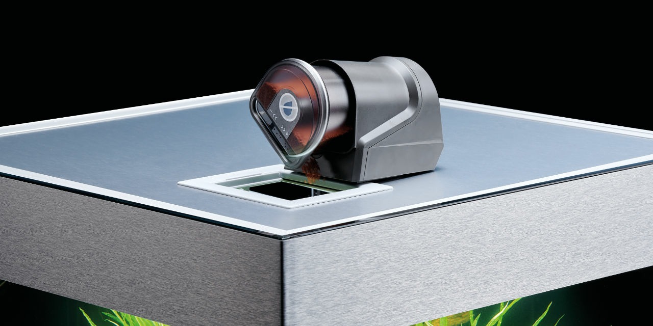 Distributeur automatique de nourriture pour poissons