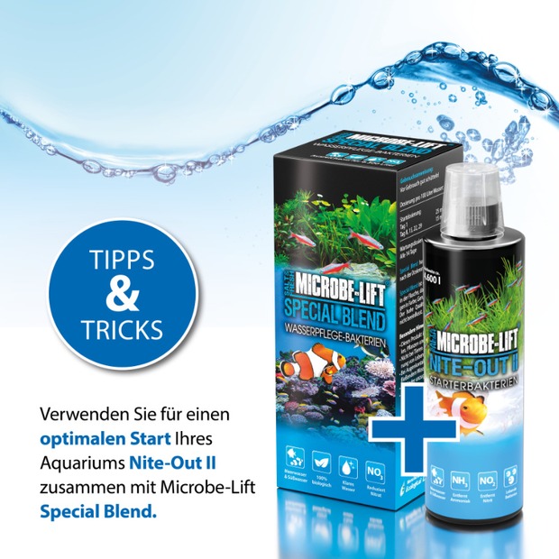 Arka Nite-Out II - bactéries starter 5 L