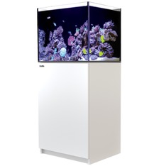 Red Sea Reefer 170 G3+ blanc