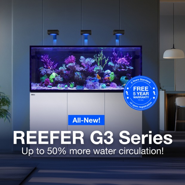 Red Sea REEFER Peninsula S-950 G3