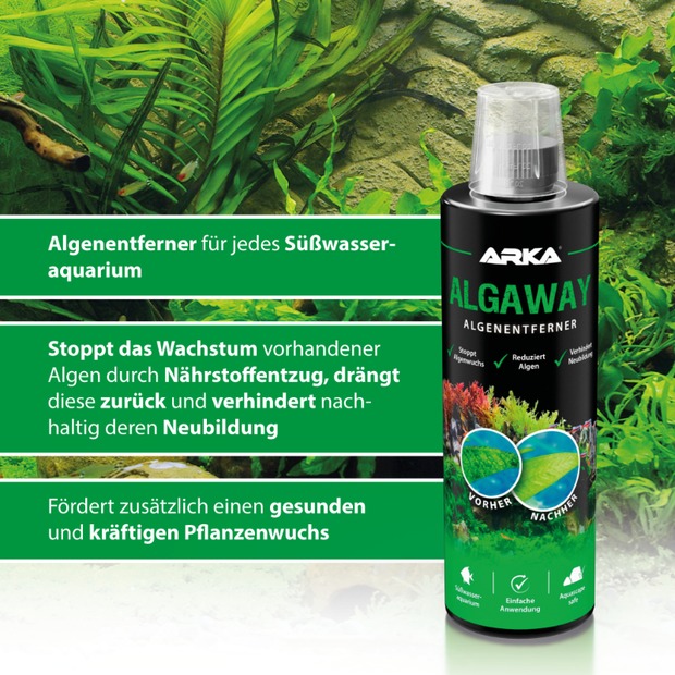 Arka Algaway