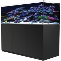 Red Sea Reefer 525 G3 noir