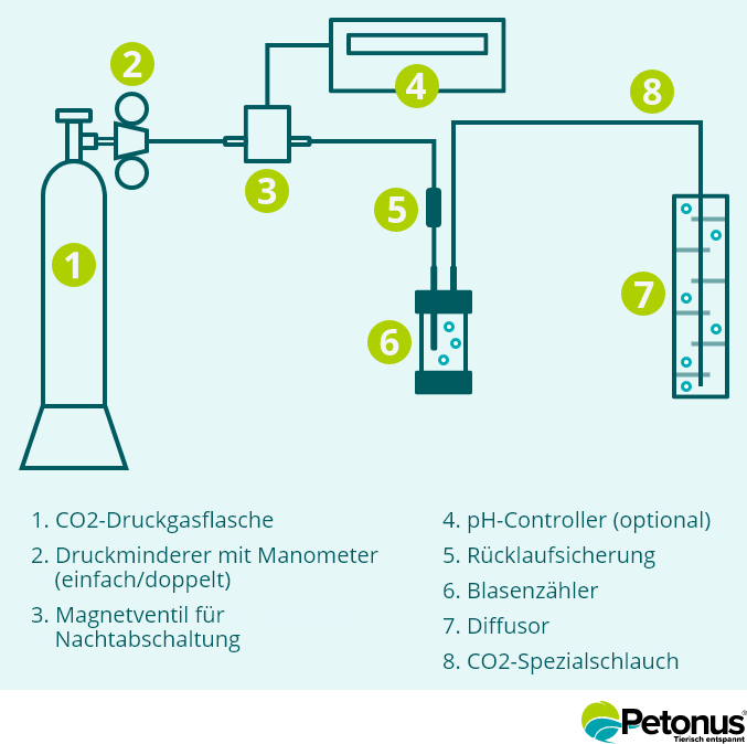 Structure d’une installation CO2 avec bouteille de gaz sous pression