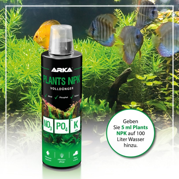 Arka Plants NPK