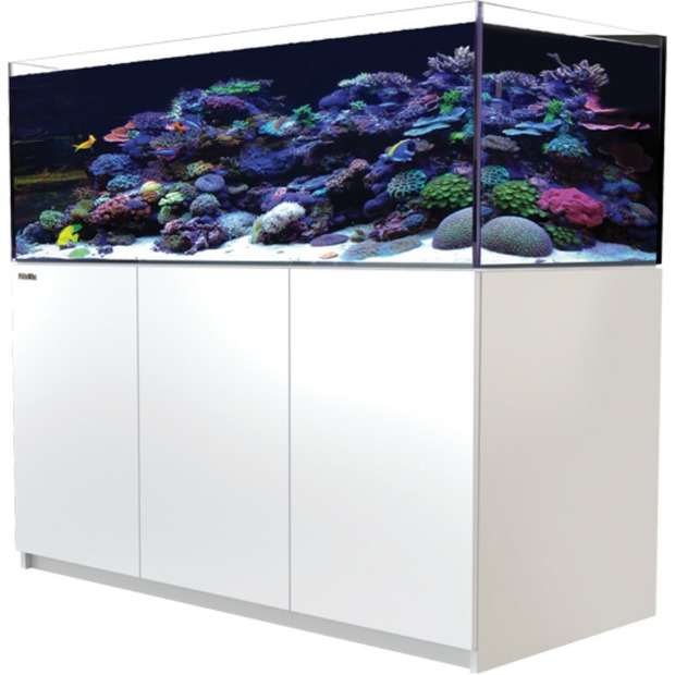 Red Sea Reefer 525 G3 blanc
