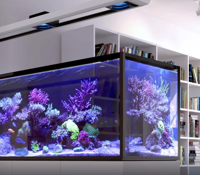Inclus : éclairage ReefLED 160S
