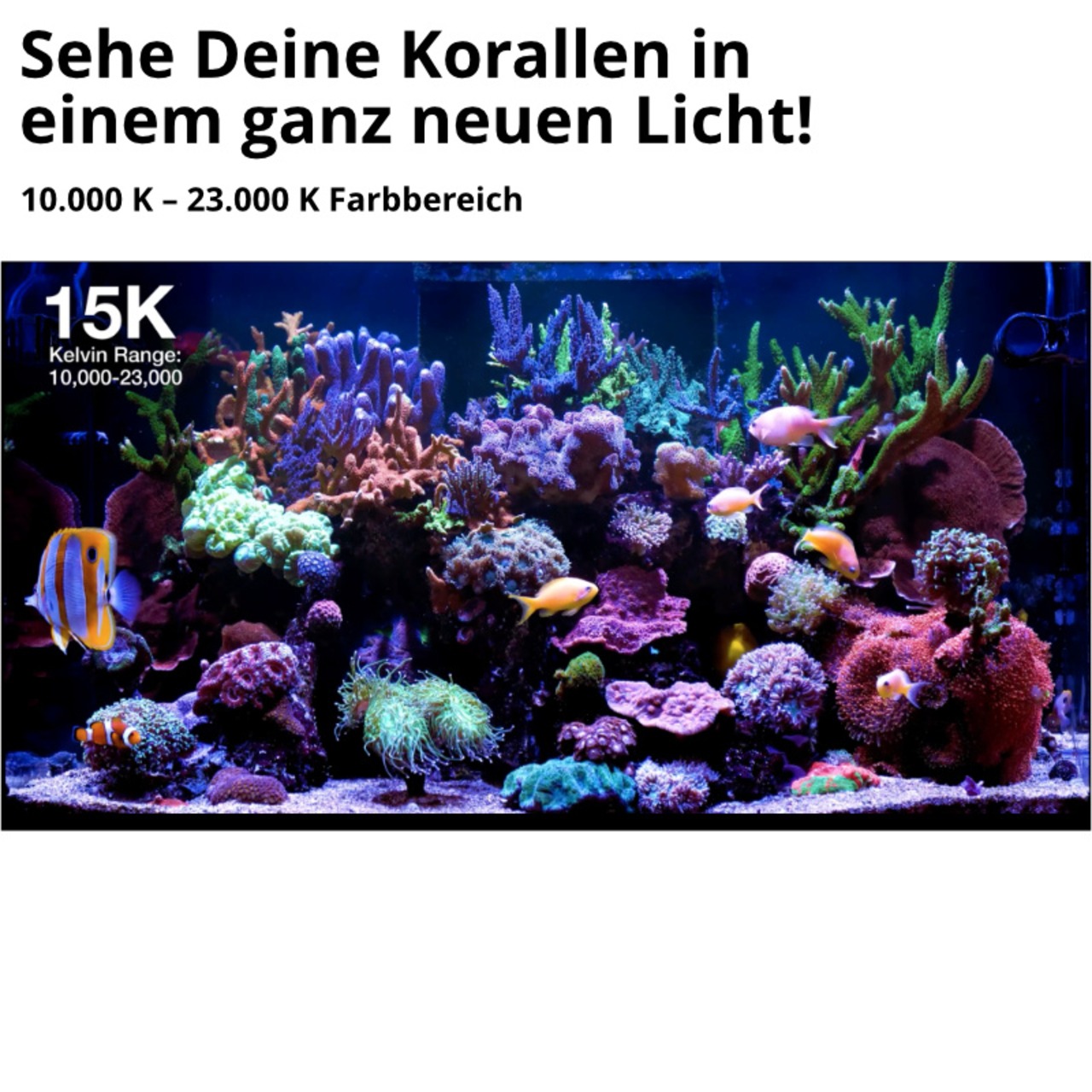 Red Sea ReefLED G2