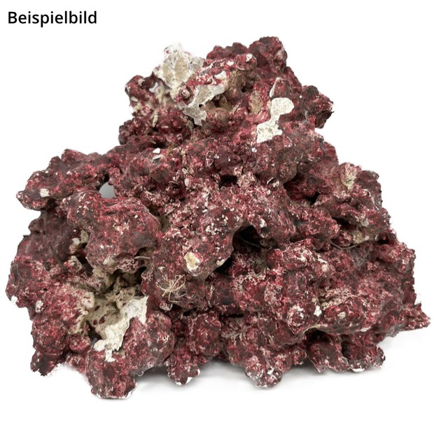 RealReef Rock 1 kg