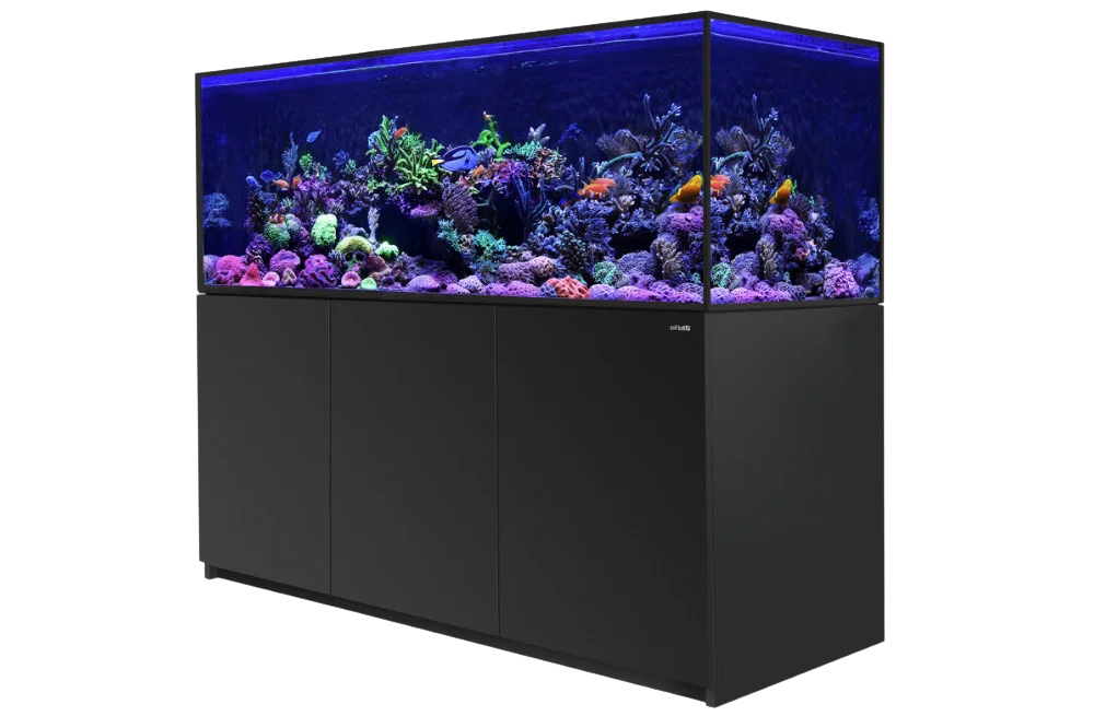 Les syst&egrave;mes Reefer-S G2, des aquariums premium pour tr&egrave;s grands r&eacute;cifs 