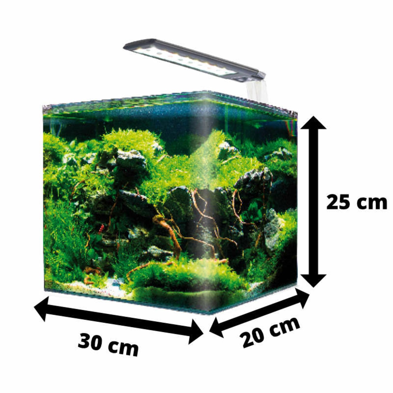 Amtra Nano Aquarium