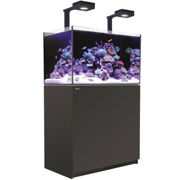 Red Sea Reefer 300 G3 Deluxe noir