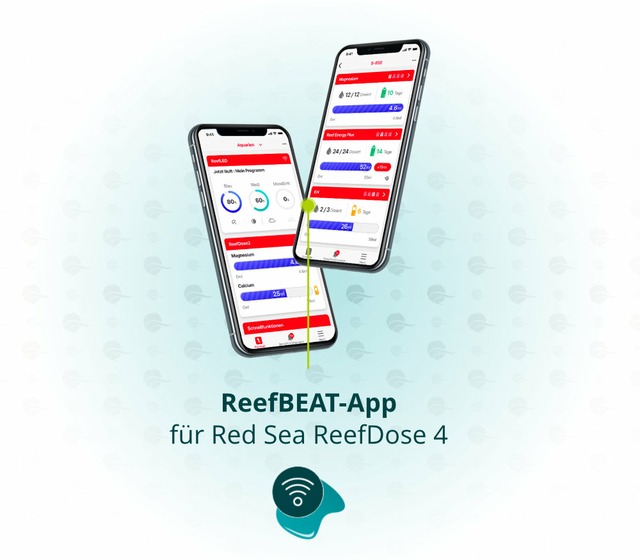 Cette image montre l’application Red Sea ReefBeat pour la ReefDose 4