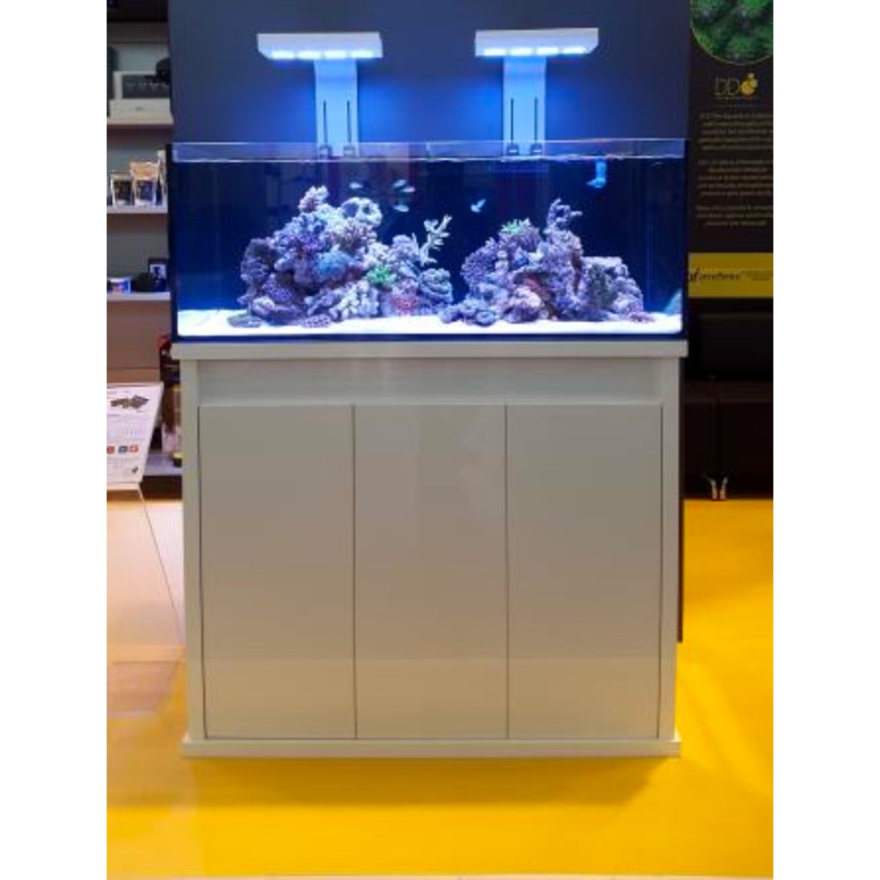 D-D Reef-Pro1200 WHITE GLOSS - système d’aquarium