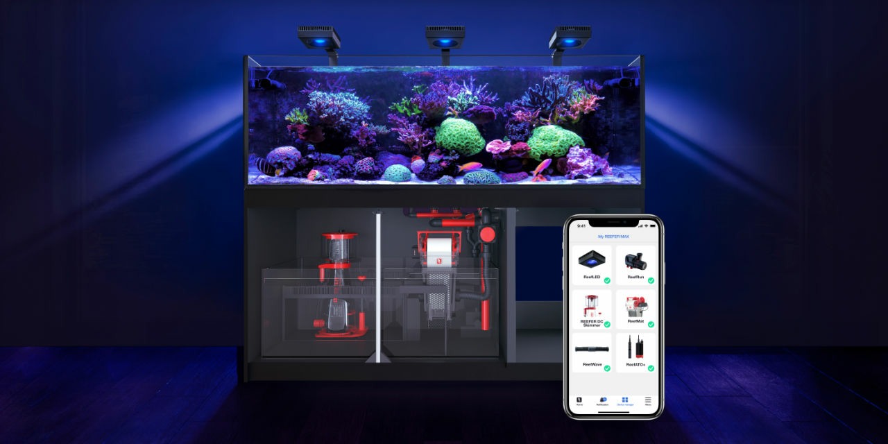 Kit complet d’aquarium d’eau de mer