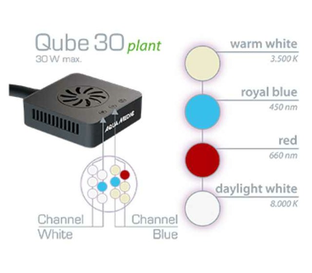 Répartition LED de l’Aqua Medic Qube 30 Plant
