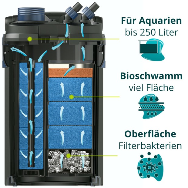 Oase BioMaster 250 G2