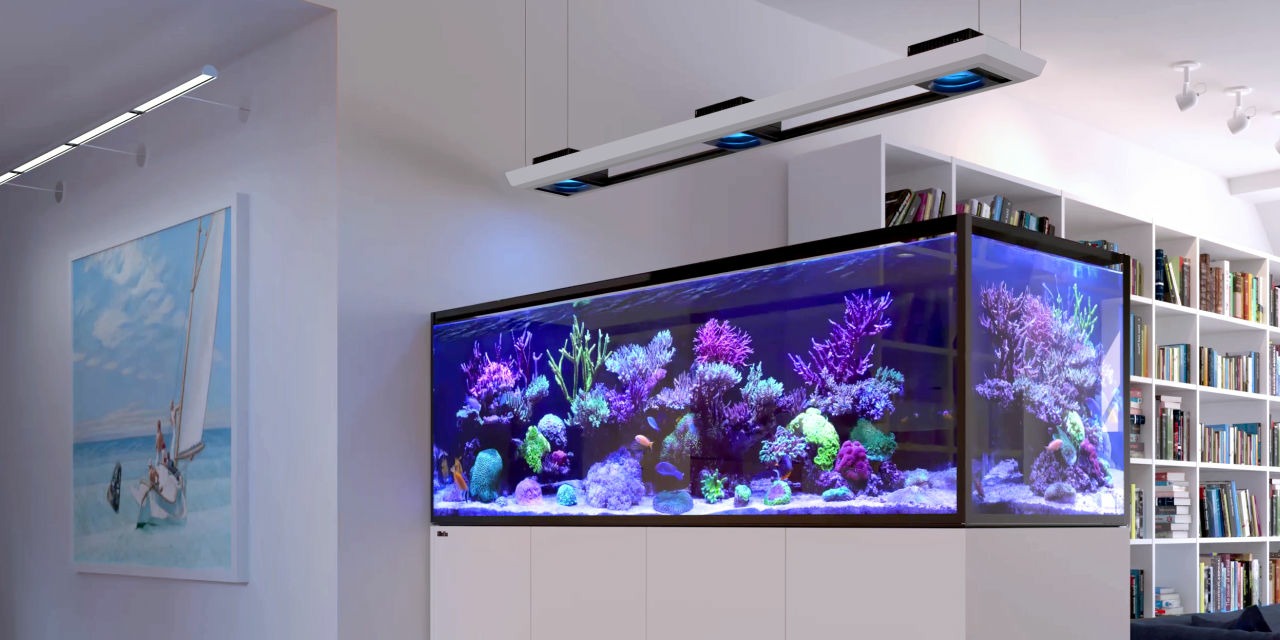 Aquarium d’eau de mer avec meuble
