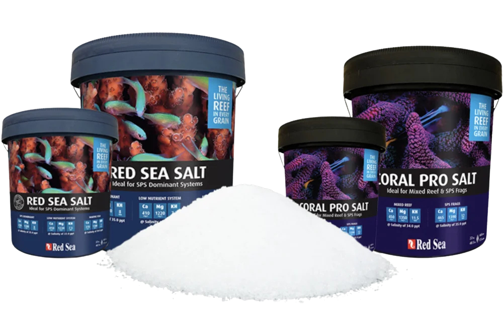 Sel marin Red Sea pour une qualit&eacute; d&rsquo;eau optimale