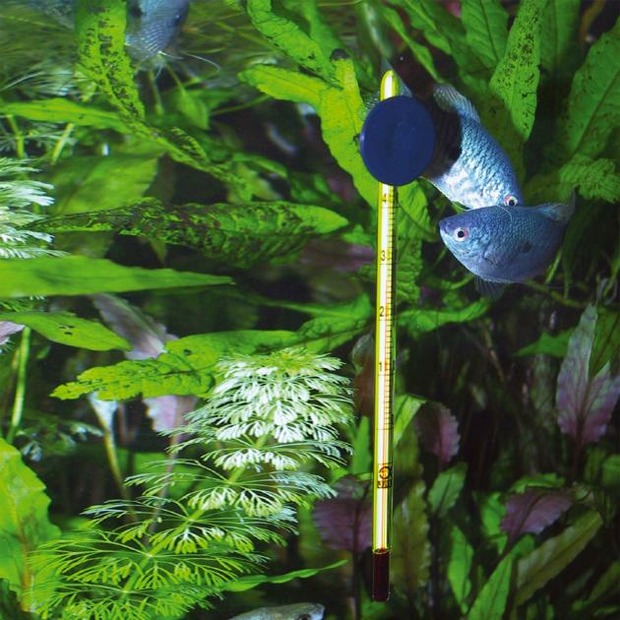 JBL thermomètre d’aquarium Premium
