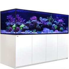 Red Sea Reefer-S 1000 G3 blanc