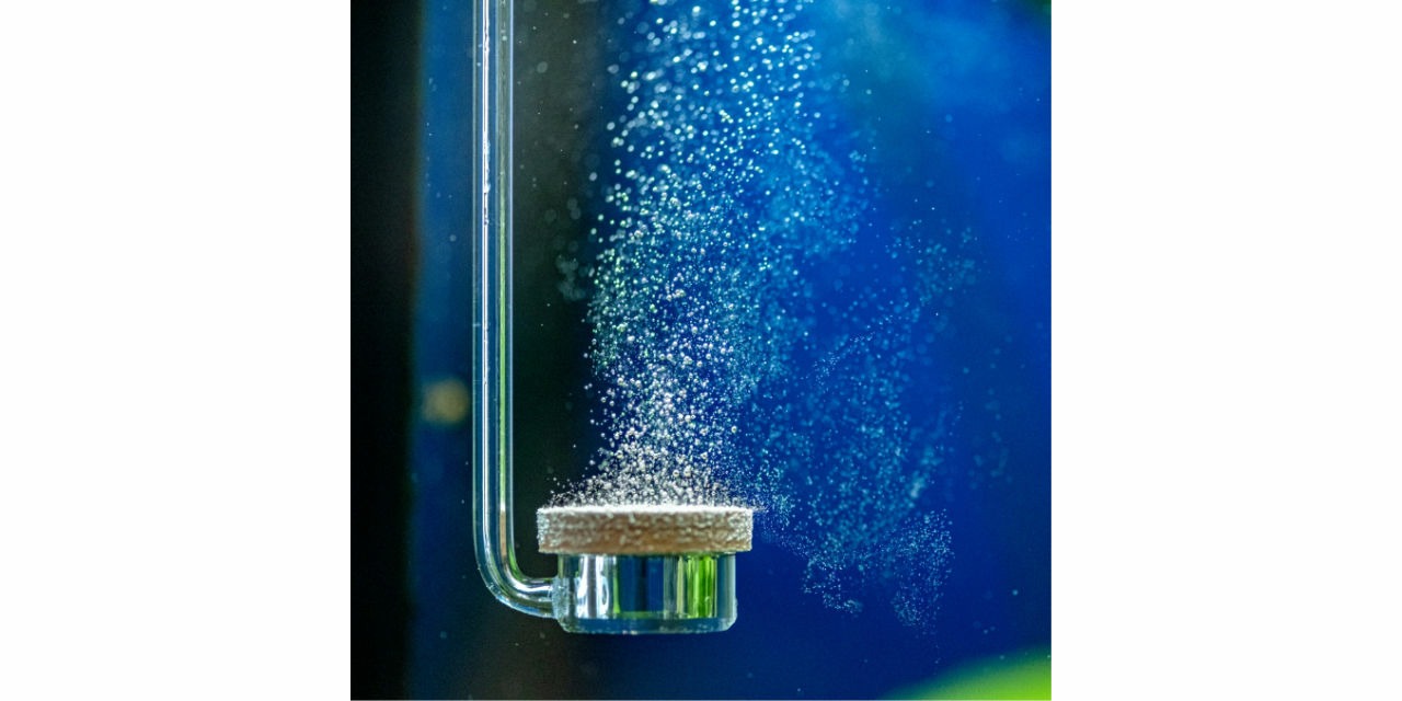 Dioxyde de carbone aquarium