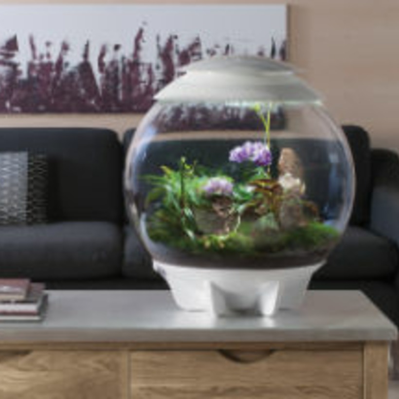Terrariophilie