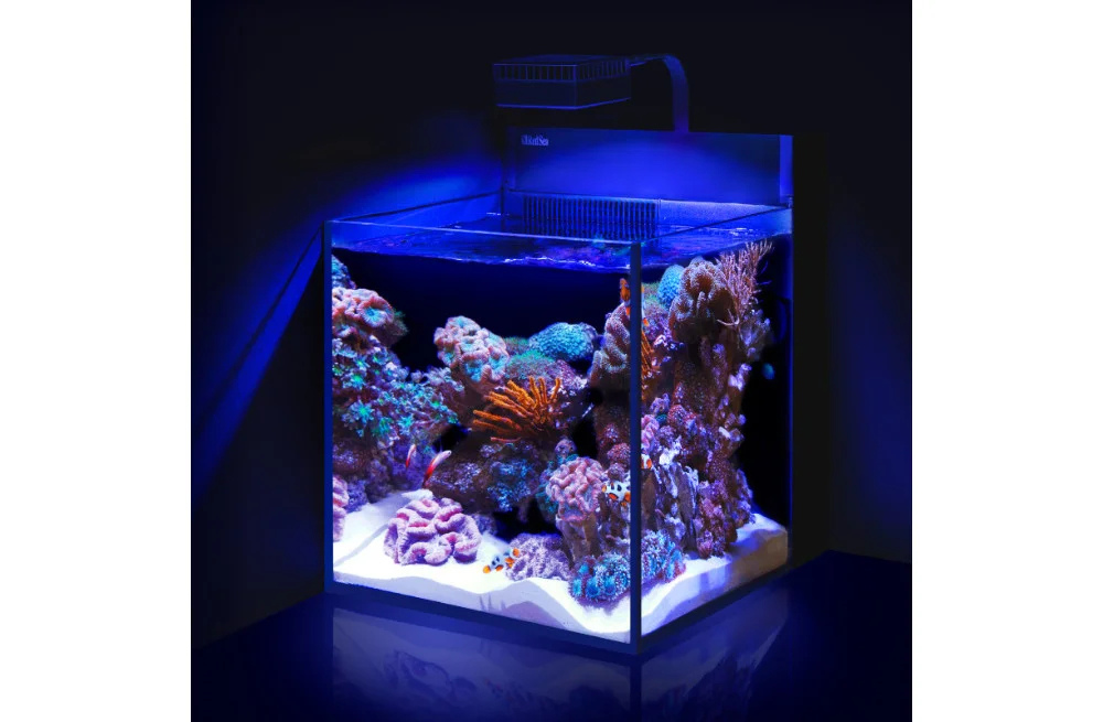 red-sea-max-nano-peninsula-sur-table