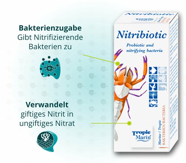 Cette image montre les avantages de Tropic Marin Nitribiotic