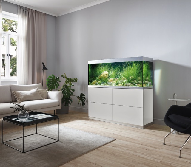 Esthétique sous tous les angles