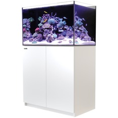 Red Sea Reefer 300 G3 blanc