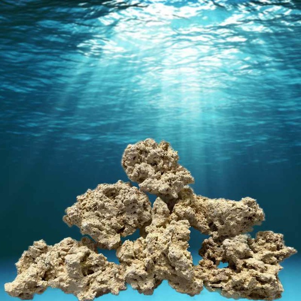 Arka my REEF-ROCKS roche récifale mix 20 kg