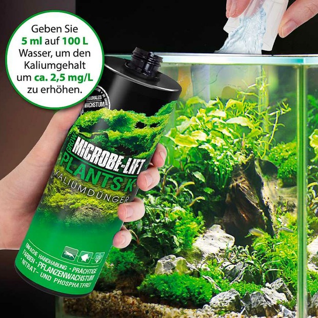 Arka Plants K