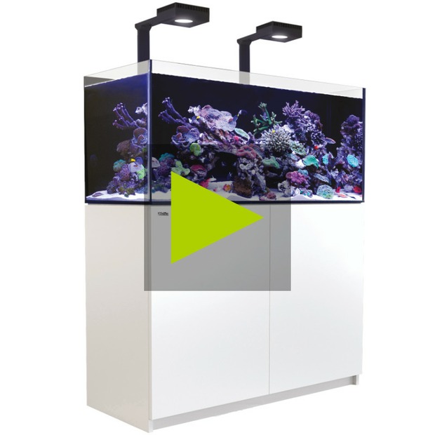Red Sea Reefer 425 G3+ Deluxe blanc