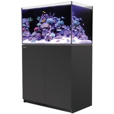 Red Sea Reefer 300 G3 noir
