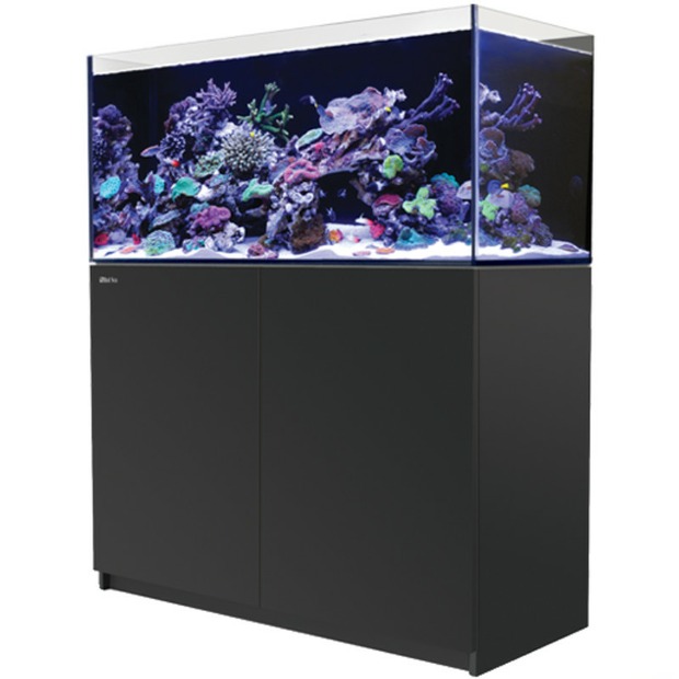 Red Sea Reefer 425 G3 noir