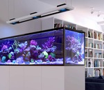 Meerwasseraquarium Komplettset Test