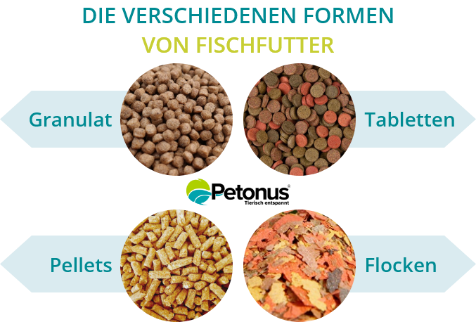 Infographie sur les formes d&rsquo;aliments Arka BIO GRAN