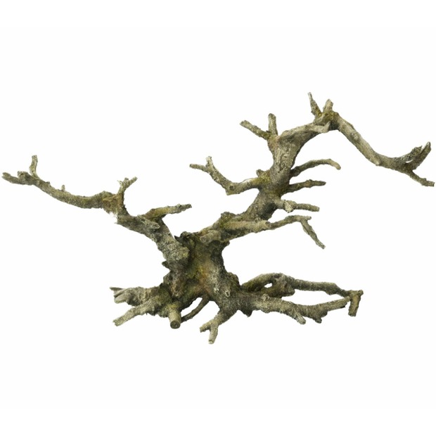 Aqua Della Bonsai