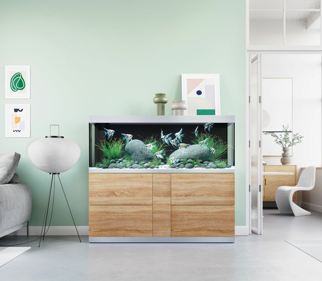 Image de Aquarium Oase HighLine 🐟 Toutes les infos & consei