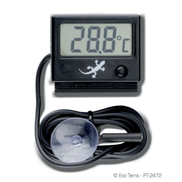 Exo Tera thermomètre digital