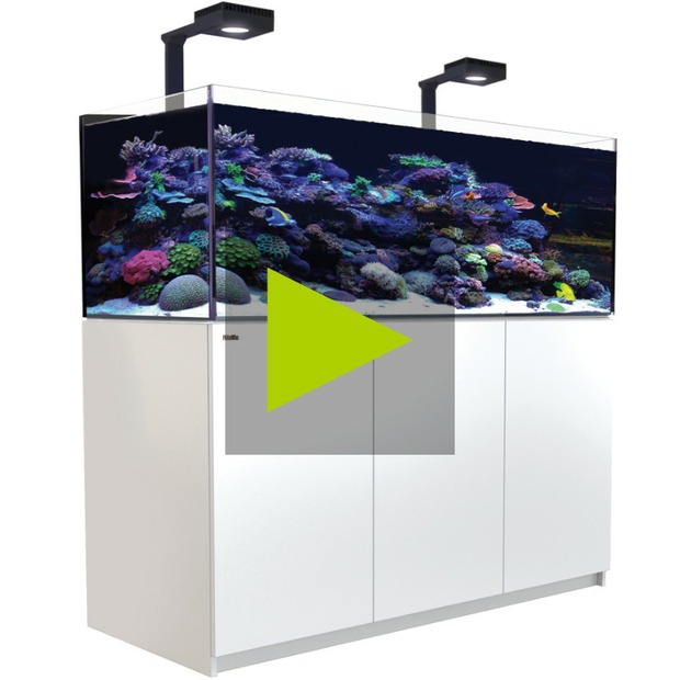 Red Sea Reefer 625 G3+ Deluxe blanc