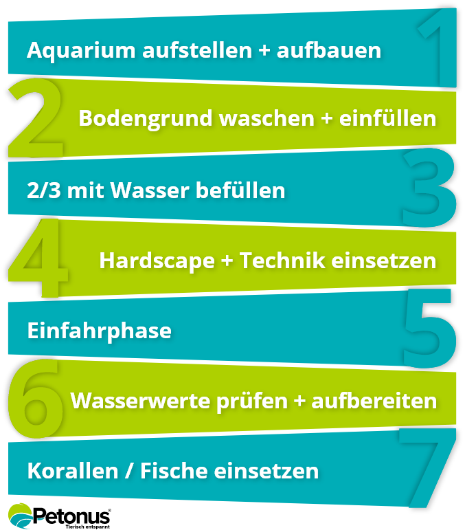 Guide étape par étape pour l’aquarium d’eau de mer
