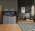 D-D The Aquarium Solution