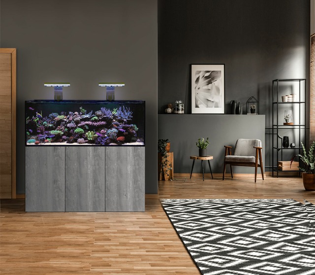 Image de D-D The Aquarium Solution đ Eau de mer / eau douce
