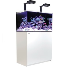 Red Sea REEFER MAX G3